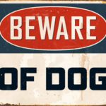 Dog2 Dog2