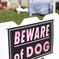 Dog_Sign Dog_Sign